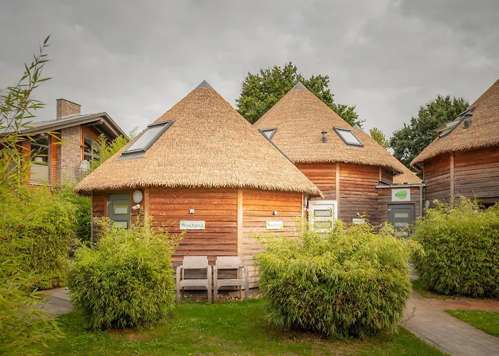 Typ C1 Mini - Mana Point 1 Hotel Pelzerhaken